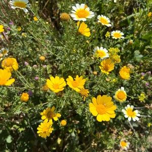 Meet your Posher, Miranda